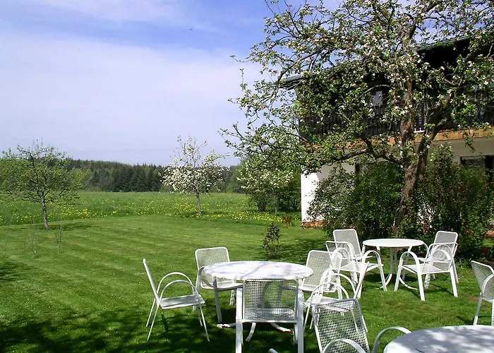 Cafe Gaestezimmer Hotel